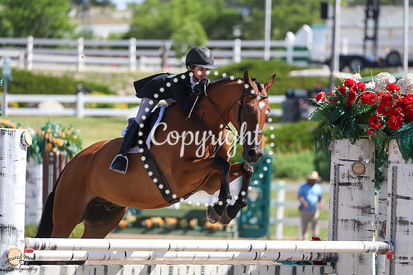 Verdon_Z_(1114)_20250627_1959