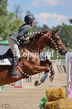 Stallion_Flor_Real_(674)_20240907_4864