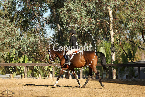 Avita_(1202)_20241009_0775