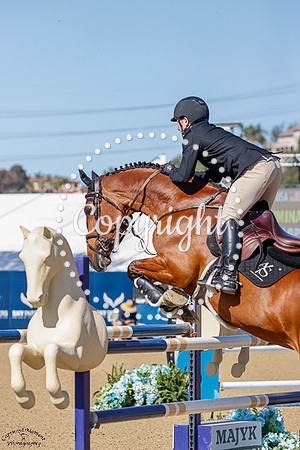 ACTIONMINA_PS_(344)_20250405_3015