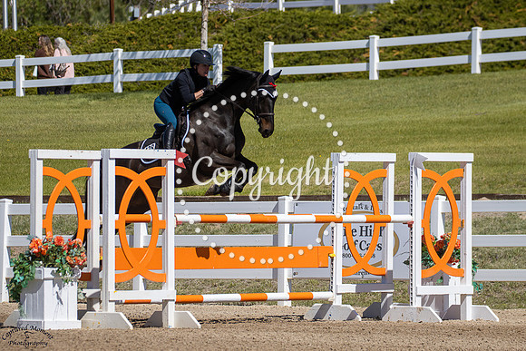 Woodlands_Qt_Pie_(322)_20250516_0952