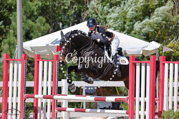 Morton_Vt_Merelsnest_(1214)_20240912_2228