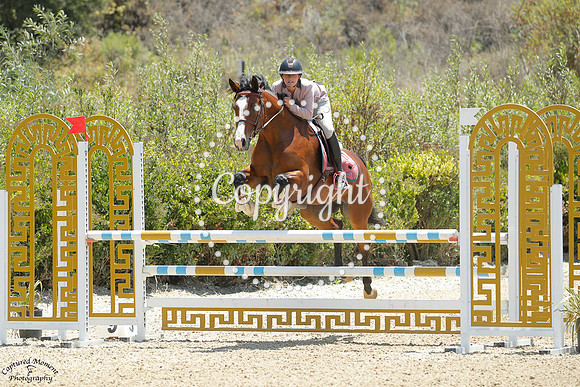 Olympus_(596)_20250717_0515