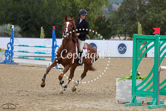 Icarus_Vdl_(946)_20250605_1938