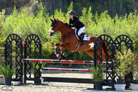 Vanda_Vuitton_(930)_20250727_1975
