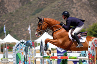 Ideal_S_(964)_20250606_4560