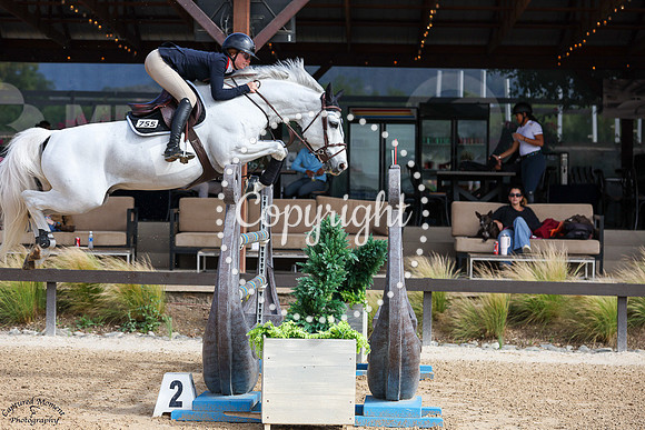 Breemeersen_Cornet_Star_(755)_20250605_0949