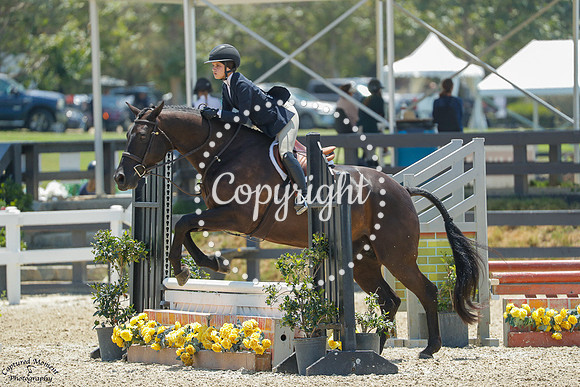 Verdict_(510)_20250718_2085