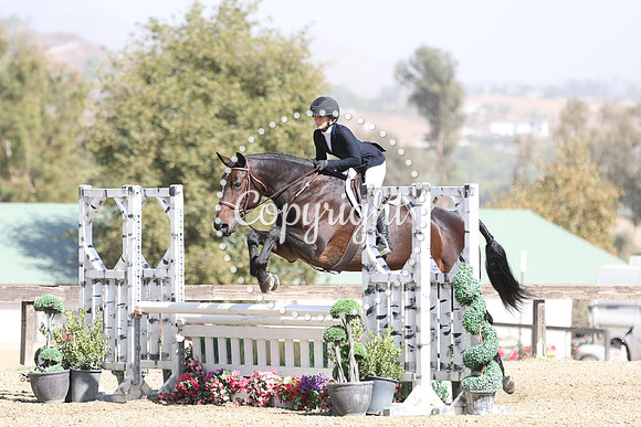 Jubilee_Tbf_(750)_20241018_4038