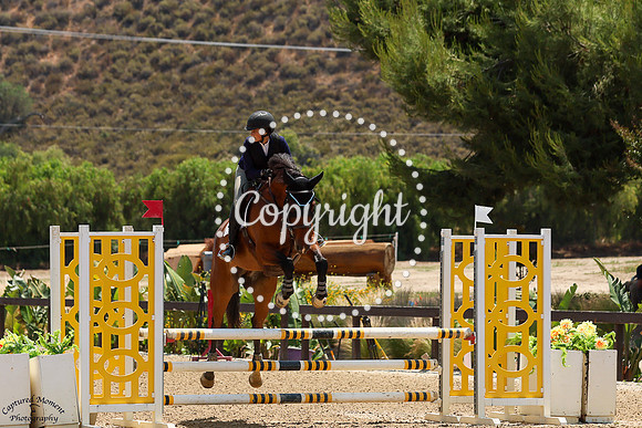 Querino_(785)_20250605_2076