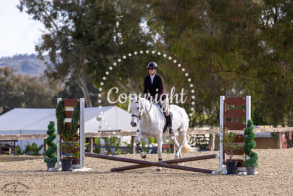 Fine_Design_(802)_20250426_8699