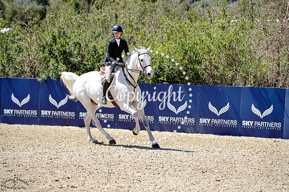 Just_Cavalli_(663)_20250410_1745