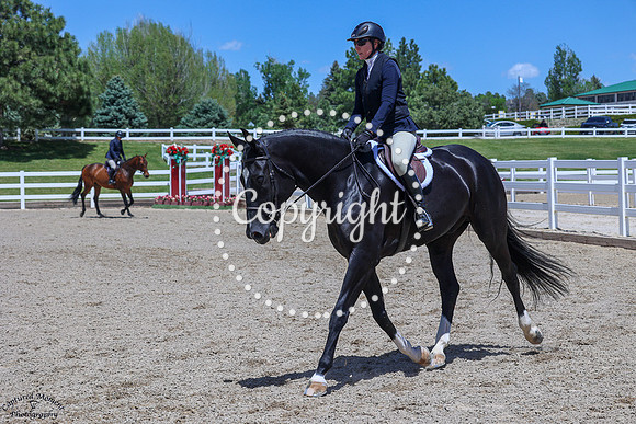 Cazador_Wh_(495)_20250516_1586