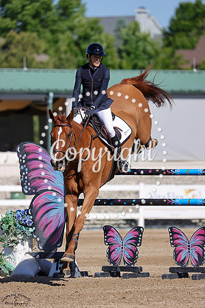 Dogano_De_Roulard_(1136)_20250614_3607