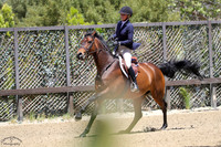 Twain_(845)_20250424_3755