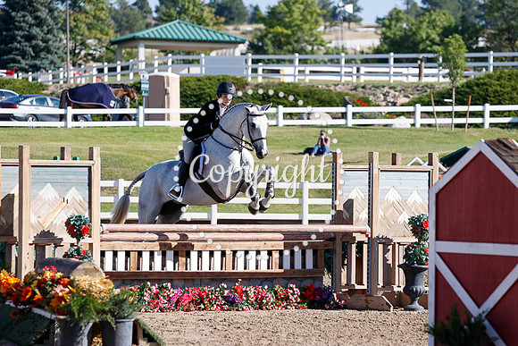 24_Carot_(413)_20240906_0409