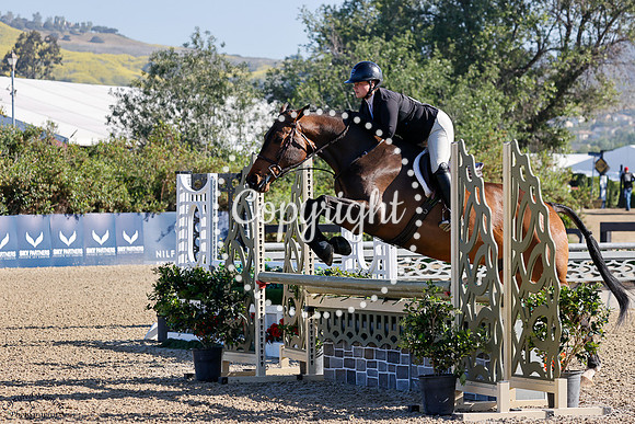 NO_LIMIT_B_(248)_20250509_1398