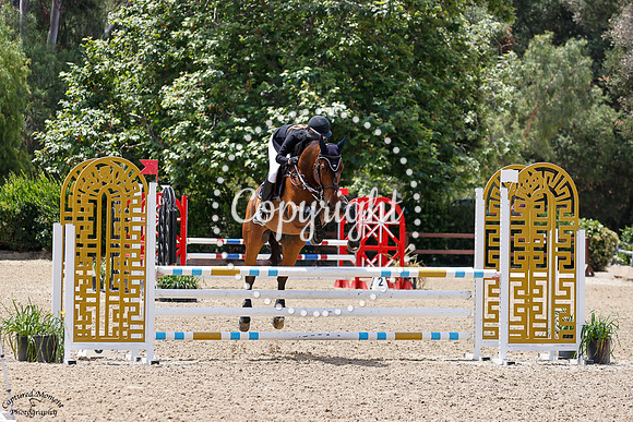 Wuberlina_K_Z_(384)_20250612_0819
