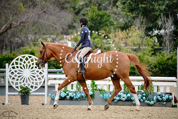 Crowd_Pleaser_(624)_20250611_0393
