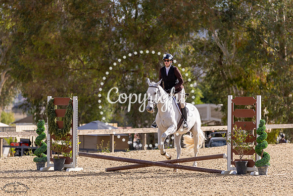 Fine_Design_(802)_20250426_8671