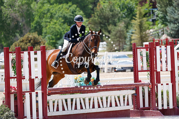 Amara_(1814)_20250620_3591