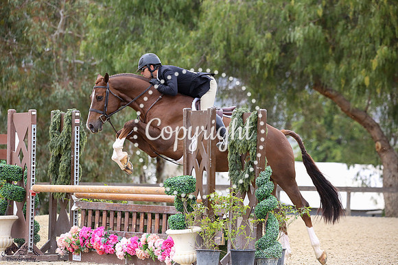 Imperial_(488)_20250416_0212