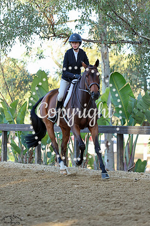 Spardoctro_(1498)_20241019_0969