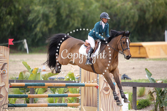 Fernhill_Tiger_Con_(239)_20250415_6121