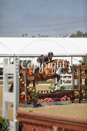 Heirloom_(1061)_20250619_0030