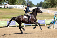 Diamond_(1196)_20240913_0113