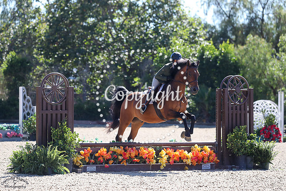 Amames_Brimbelles_Z_(1225)_20250725_3140