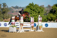 Cartoulon_(3003)_20241011_0289