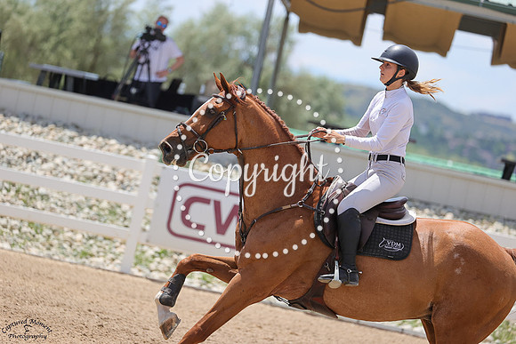 Vdl_Jesmond_(1883)_20250703_0999