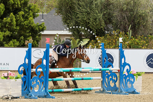 Fernhill_Tiger_Con_(239)_20250416_2322