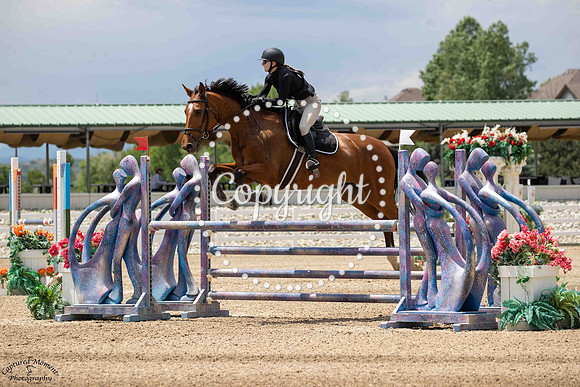 Wt_Chevelle_(1240)_20250611_0805