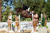 Imara_M_(139)_20241011_3605