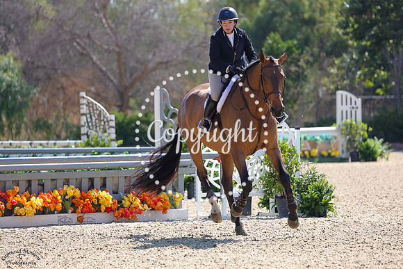 Fellow_Traveler_(332)_20250718_4815