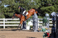 The_Great_Dane_(1164)_20250612_1521