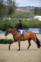 Aloha_(149)_20250718_2741