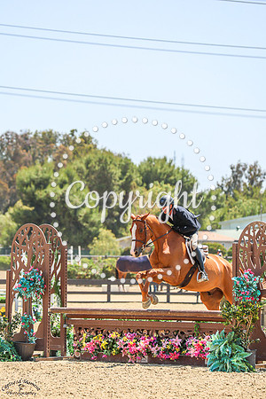Melbourne_(1372)_20250626_1718