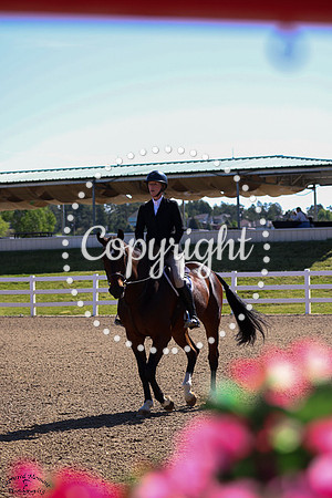 Figaro_V_(566)_20250522_0061