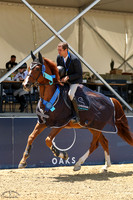 Icarus_Vdl_(604)_20250625_8379