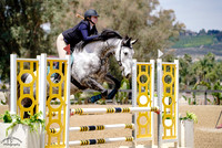 Langaller_Second_Chance_(647)_20250423_0848