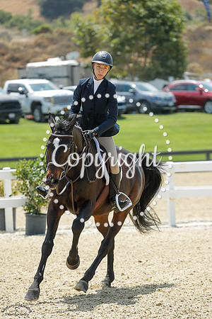 Lrr_Barnaby_(580)_20250718_1855