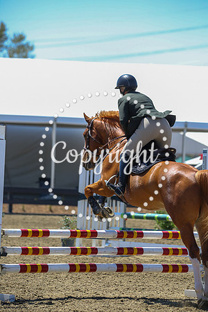 Andiamo_(853)_20250409_0254