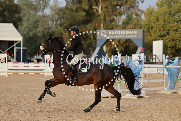 Kat_Walk_C_(1331)_20241016_0163