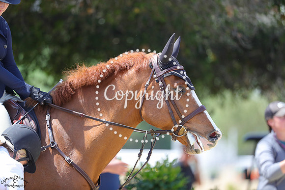 Le_Roux_Tbf_(781)_20250412_5871