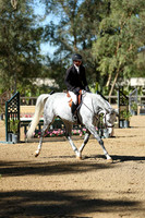 Chippetto_(680)_20241009_1564