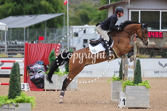 Trixi_W_(433)_20250415_0907