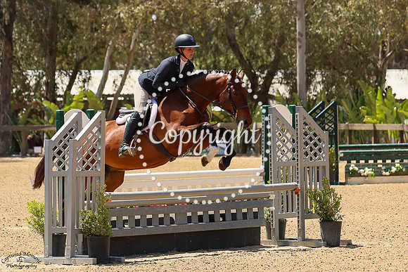 Sweet_Symphony_(863)_20250423_0876